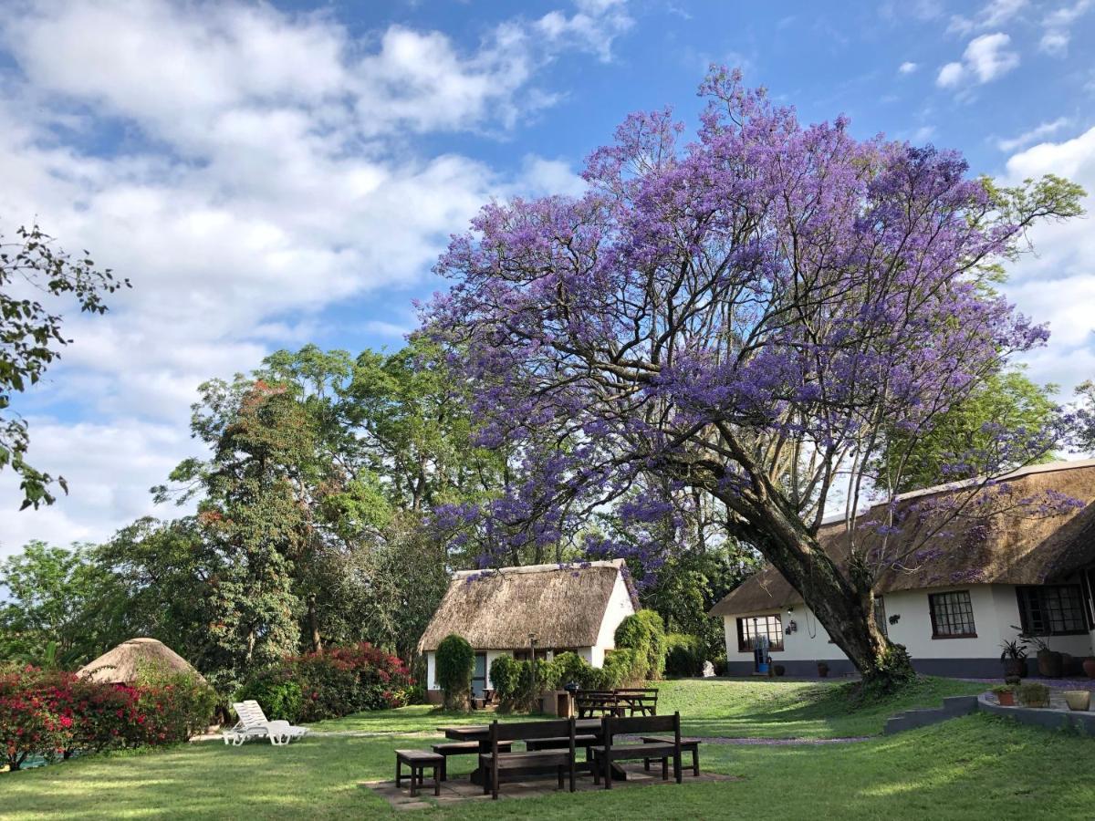 Thokozani Lodge White River Εξωτερικό φωτογραφία