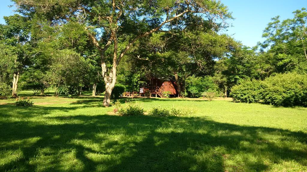 Thokozani Lodge White River Εξωτερικό φωτογραφία